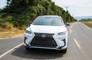 Lexus India Planting Trees For Every Car Sold